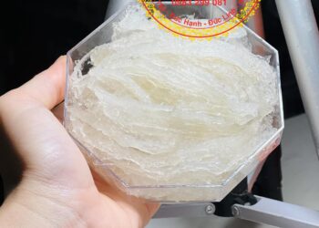 Tăng Cường Sức Khỏe với Yến Sào Minest: Bí Mật Dinh Dưỡng từ Tự Nhiên